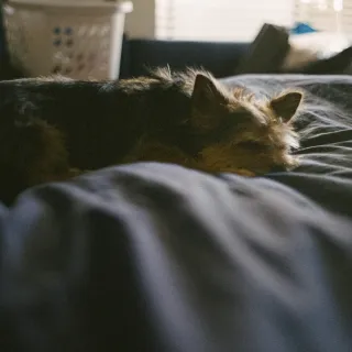 A Moment of Peace