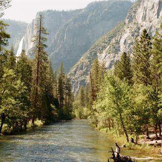 Yosemite in summer 