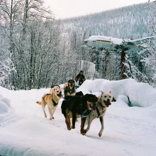 snow buddies irl ❄️