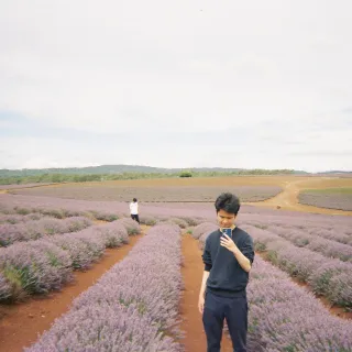 A peaceful day at Lavender Farm  