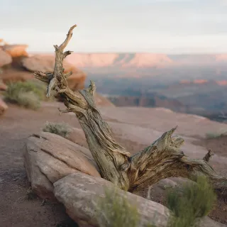 Weathered and Wise